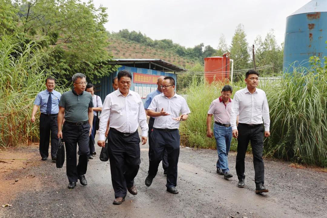 四肖必中期期准长期免费公开，详细解答、构建解答解释落实
