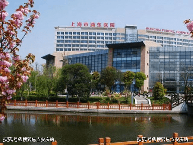 2025新澳门最精准免费大全，详细解答、精准解答解释落实